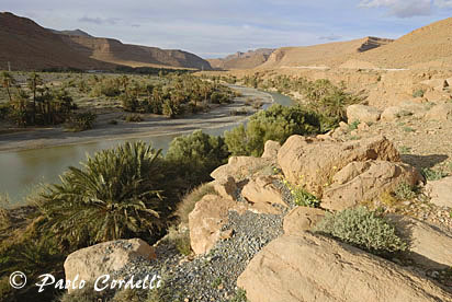 Valley of Ziz, Morocco
 (cod:Morocco 78)